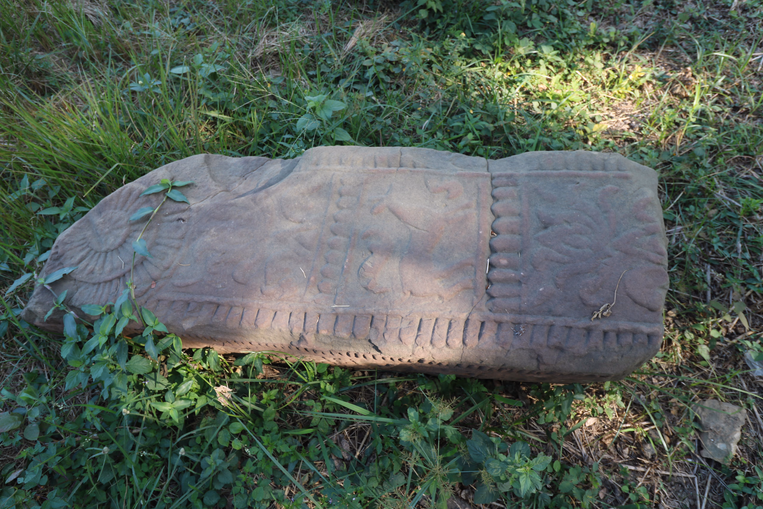 A long fallen sandstone slab lying in grass at the Dimapur ruins, its upper face cut with a lotus rosette at one end and panels of incised figural and floral relief framed by a dotted border