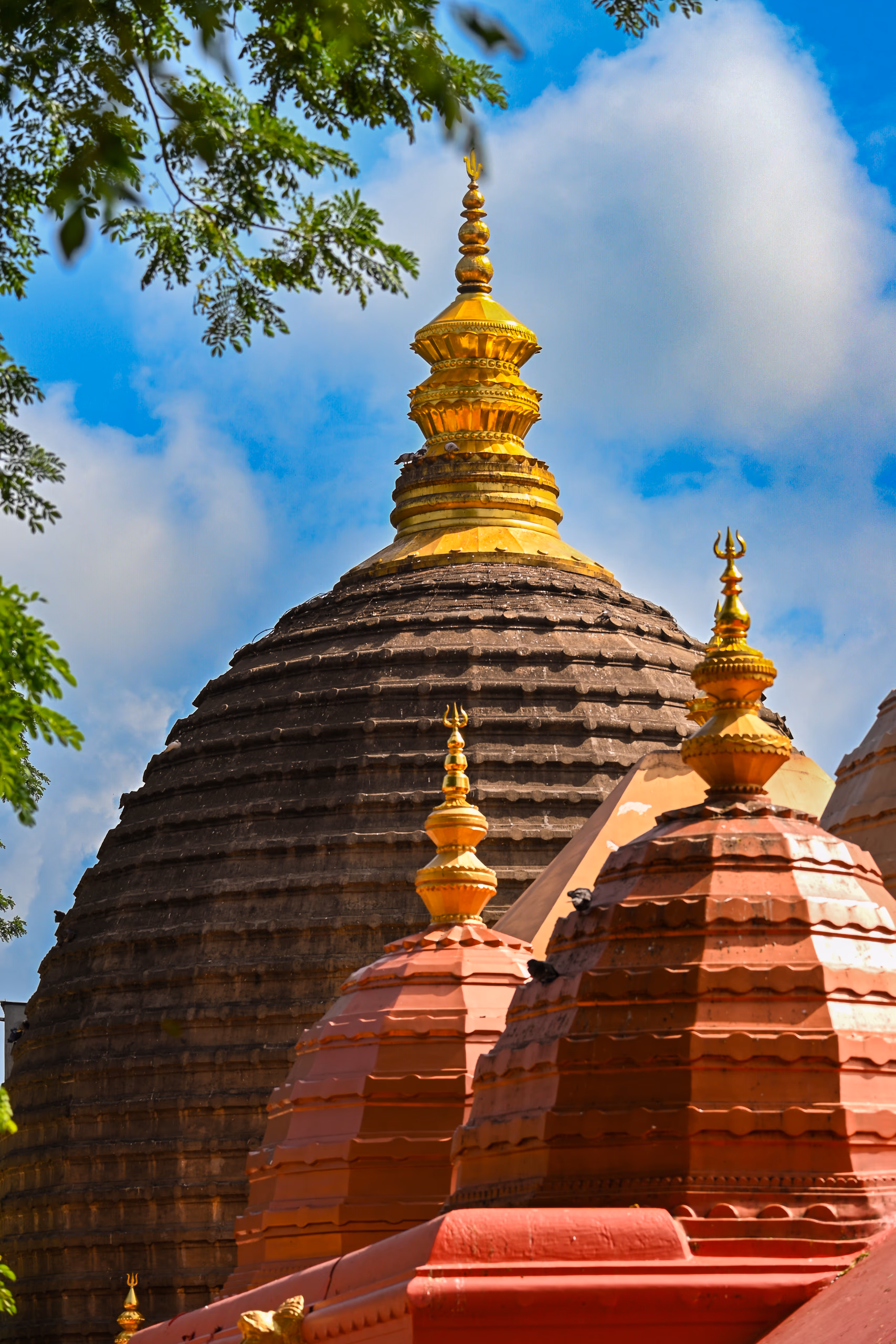 The beehive-shaped stone shikhara of Kamakhya Temple crowned with a gold finial, rising against a vivid blue sky scattered with white cloud, with smaller red-painted domes in the foreground and green tree branches framing the top