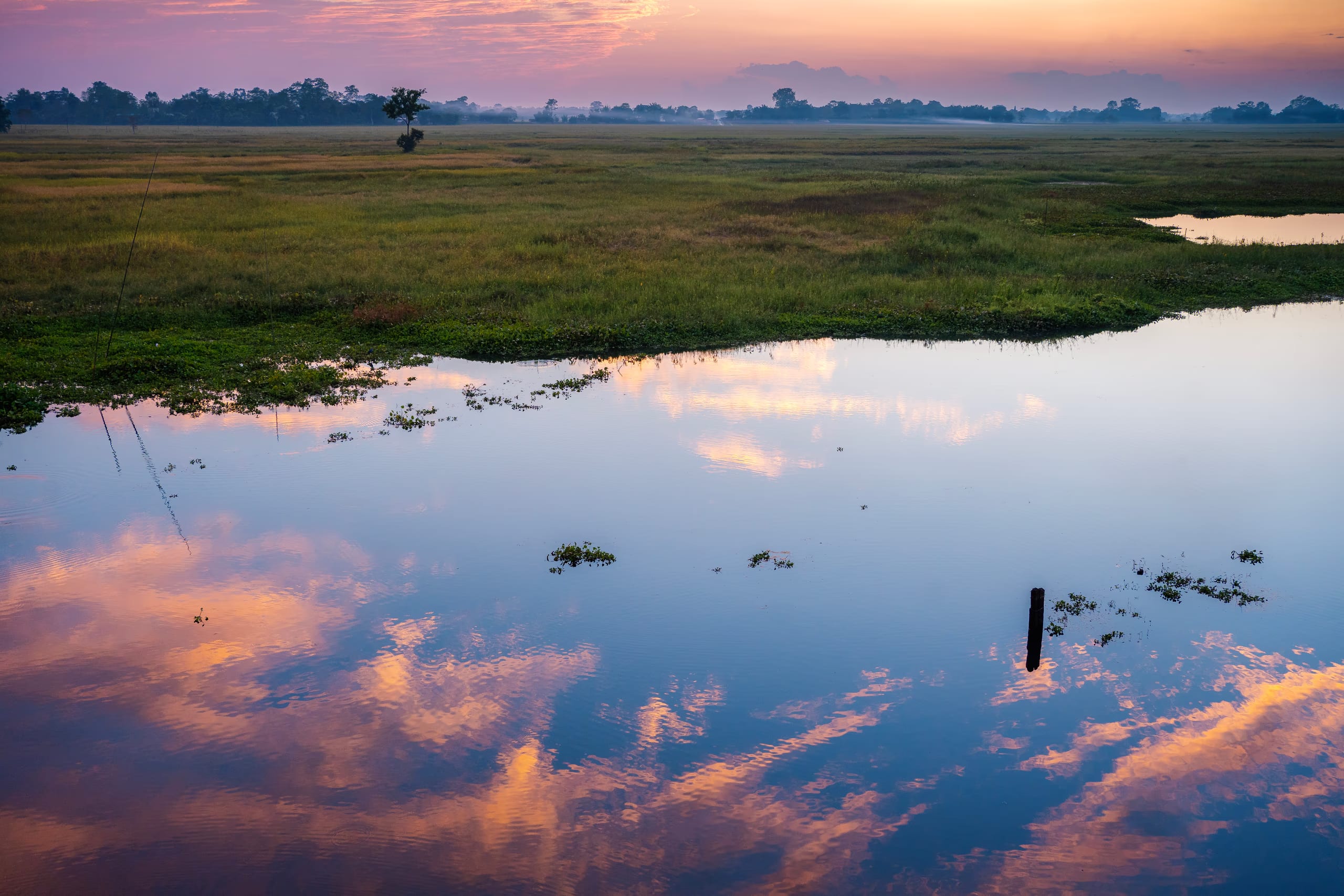 Twilight over Majuli's open wetlands: a still flooded pasture mirroring a sky of pink and lavender clouds, low green marsh and a lone tree on the misty horizon