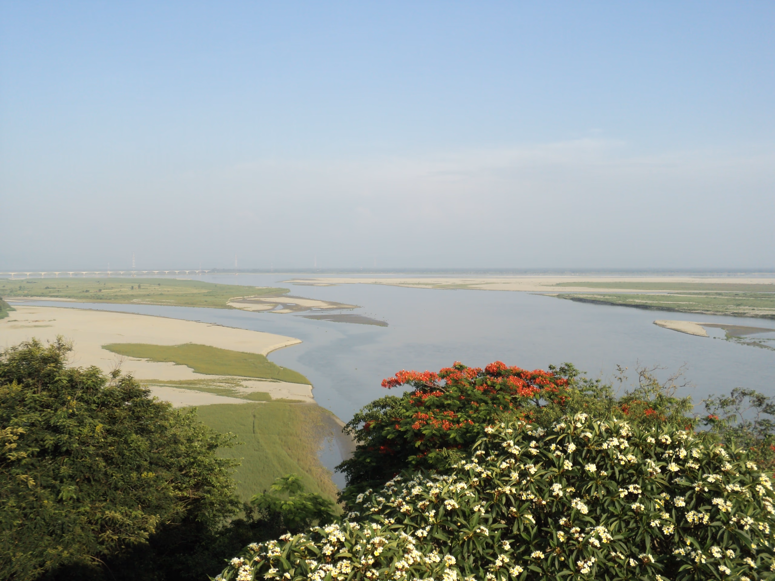 Wide view from a wooded hilltop over the braided Brahmaputra at Tezpur: pale sandbars and green char islands divide channels of still water, a long low road-bridge runs along the left horizon under a hazy sky, and a flame-of-the-forest tree in red bloom and a white frangipani rise in the leafy foreground