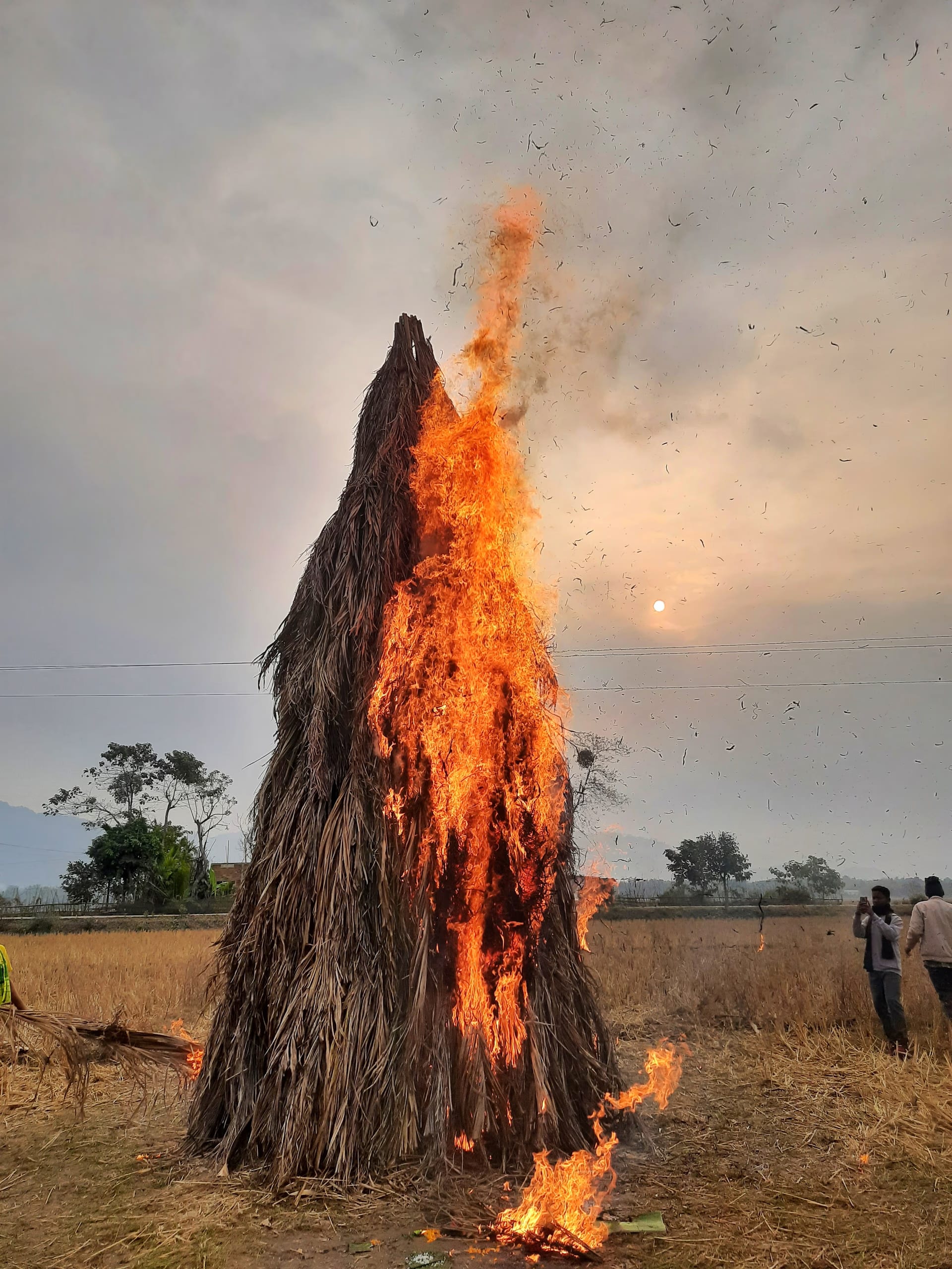 A tall conical thatch-and-bamboo meji pyre ablaze at dawn in a harvested field, with sparks rising into a dawn sky
