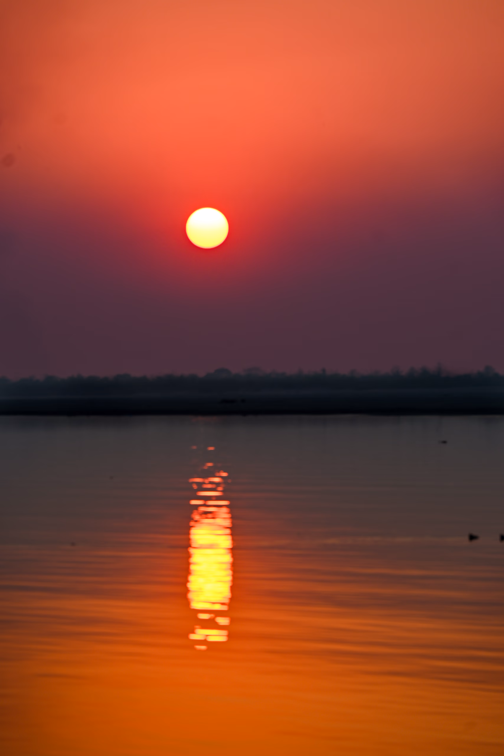 A vivid red-orange sun low over the wide Brahmaputra at Majuli, its glowing reflection running down the still water toward the viewer, the island's low tree-lined bank a dark silhouette across the horizon