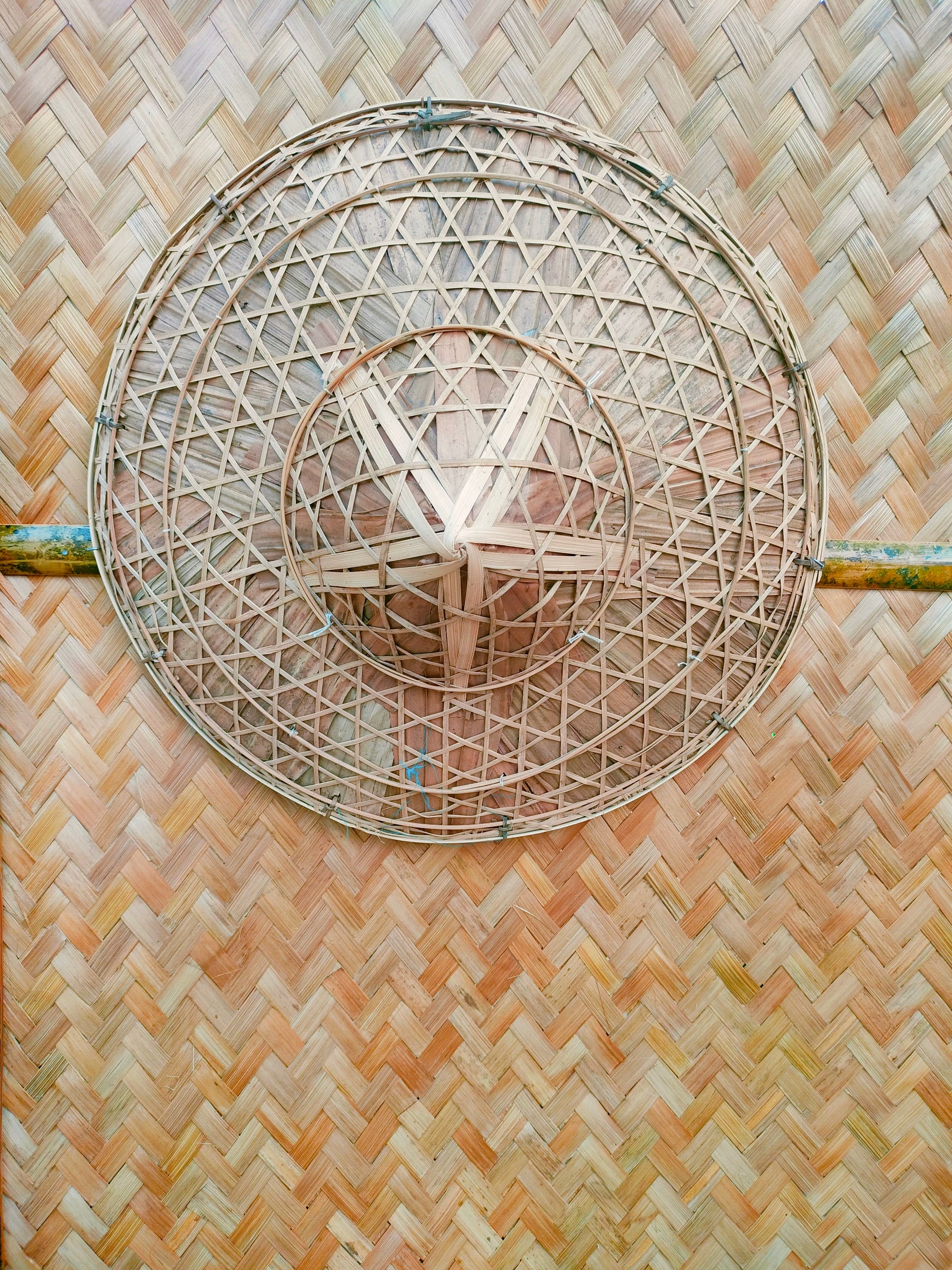 The skeletal split-bamboo frame of a japi, showing the concentric rings and triangular lattice weave, mounted on a woven bamboo wall